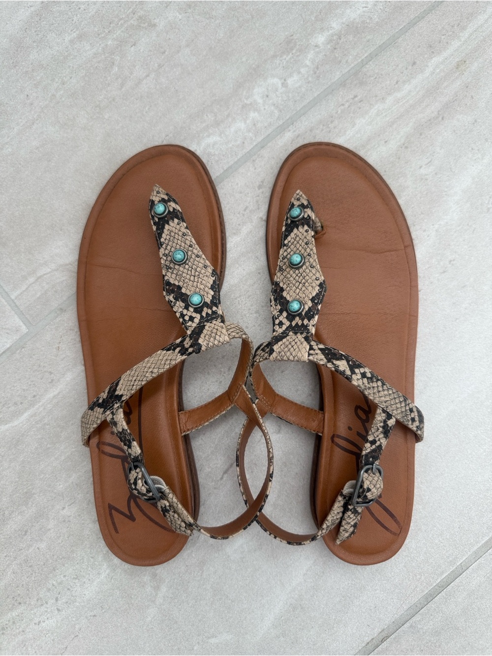 Zodiac Brown Snake-Print Thong Sandals with Turquoise Studs